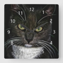 Schwarze Katze