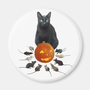 Schwarze Katze, Ratten und Kürbislaterne Magnet