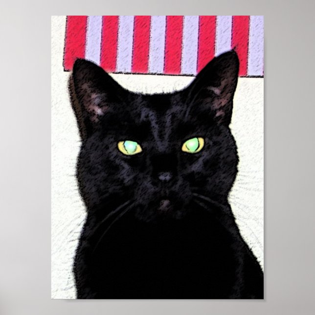 Schwarze Katze / Rot-Weiß-Blau Poster (Vorne)