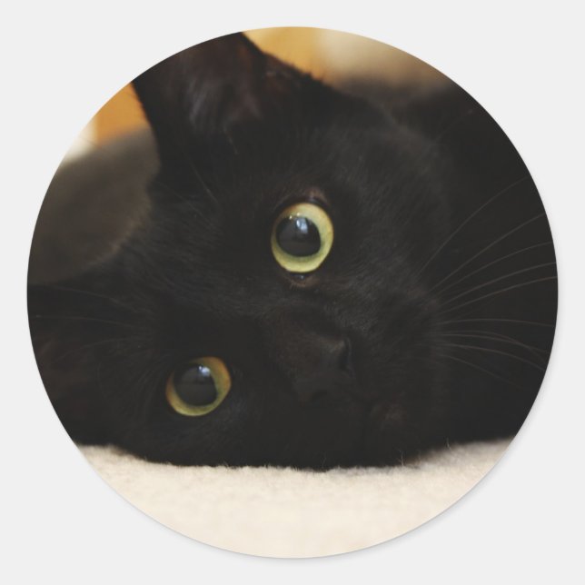 Schwarze Katze Runder Aufkleber (Vorderseite)