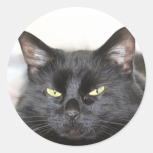 Schwarze Katze Runder Aufkleber