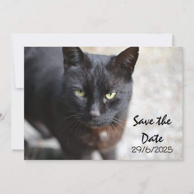 Schwarze Katze Save the Date Einladungskarte (Vorderseite)