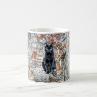 Schwarze Katze sitzt draußen Kaffeetasse