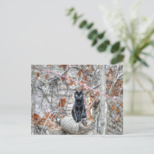 Schwarze Katze sitzt im Freien Postkarte