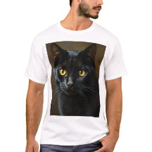 Schwarze Katze