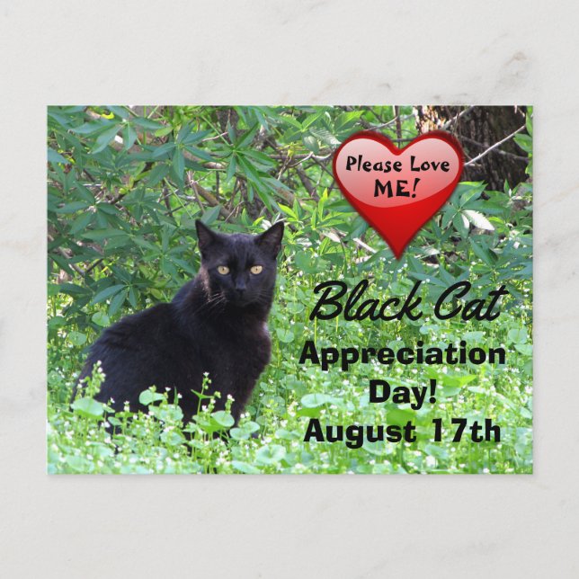 Schwarze Katze Tag der Wertschätzung Postkarte (Vorderseite)