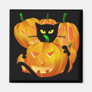 Schwarze Katze und Kürbise Halloweens blackbg Magnet
