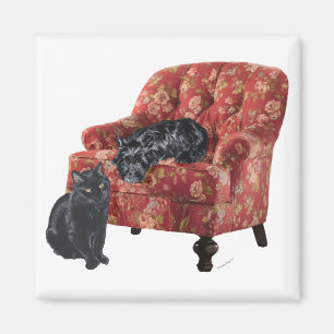 Schwarze Katze und Schottischer Terrier in einem r Magnet