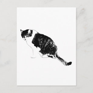 Schwarze Katze Vektor lädt zu kühnen saisonalen No Postkarte