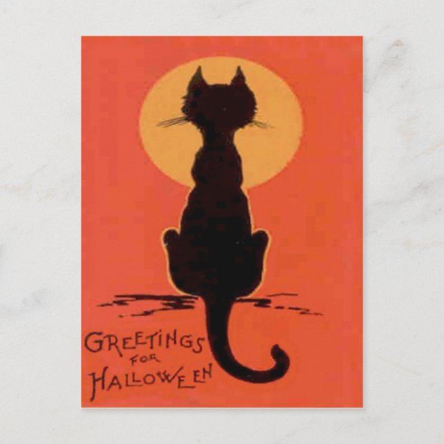 Schwarze Katze Vollmond Gelb Orange Postkarte (Vorderseite)