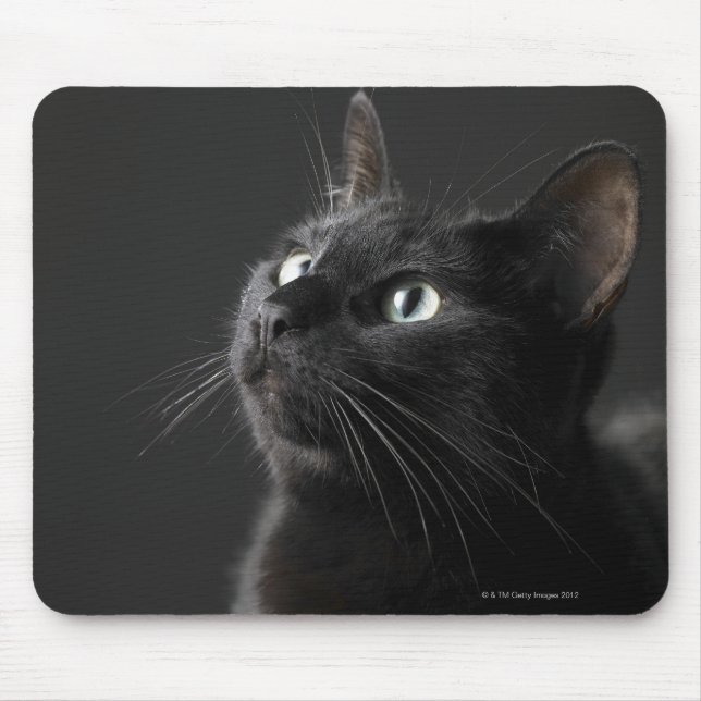 Schwarze Katze vor schwarzem Hintergrund, nah-up Mousepad (Vorne)