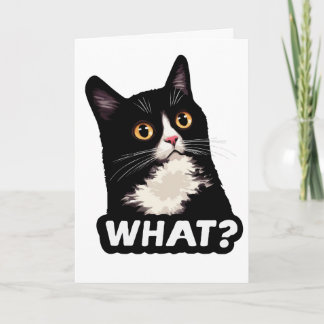 Schwarze Katze Was? Karte