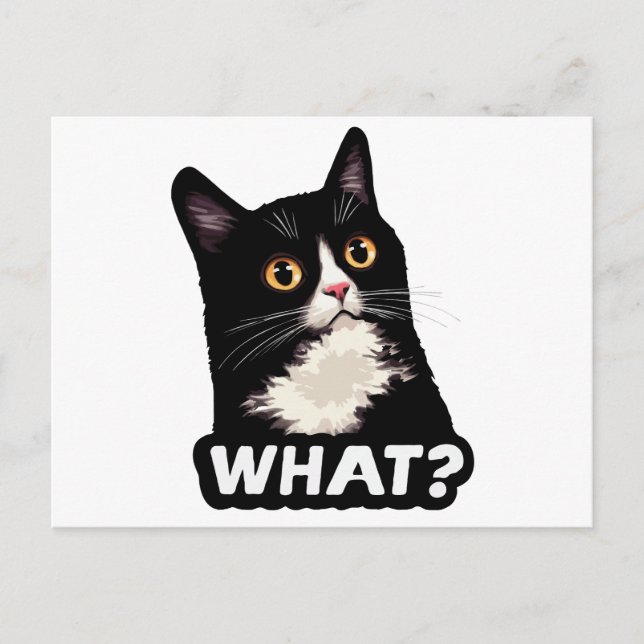 Schwarze Katze Was? Postkarte (Vorderseite)
