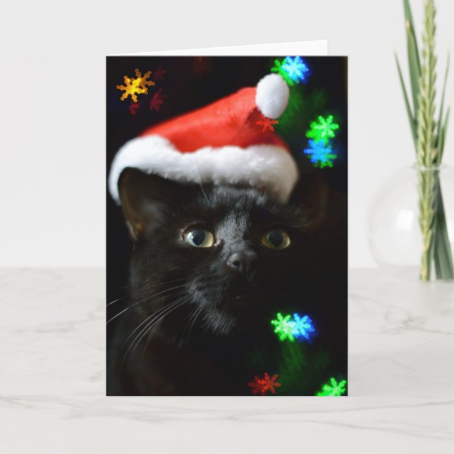 Schwarze Katze zu Weihnachten (Vorderseite)