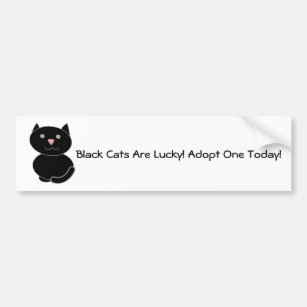 Schwarze Katzen-Adoption Autoaufkleber