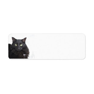 Schwarze Katzen-Adressen-Etiketten