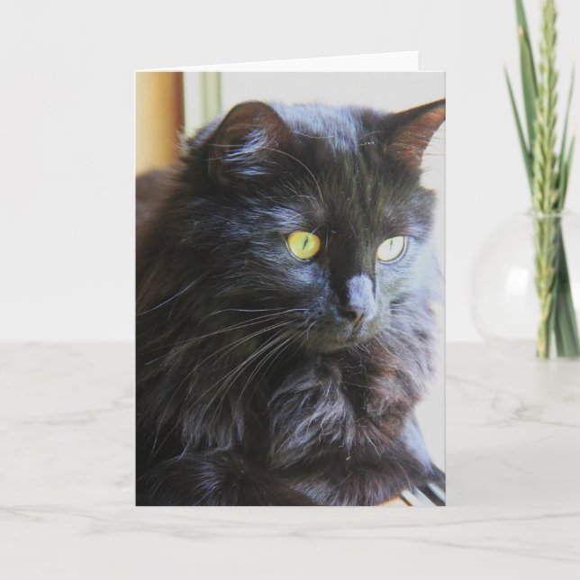 Schwarze Katzen-Anmerkungs-Karte, leeres Innere Karte (Vorderseite)