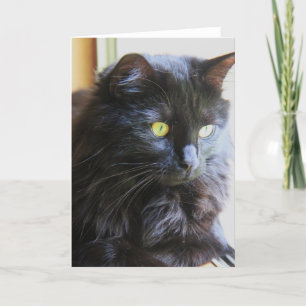 Schwarze Katzen-Anmerkungs-Karte, leeres Innere Karte