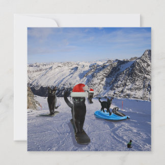 Schwarze Katzen auf Snowboards geklappte Grußkarte Karte