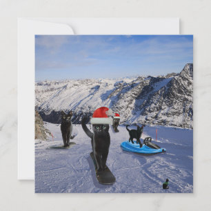 Schwarze Katzen auf Snowboards Grußkarte zum Aufkl Karte