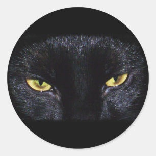 Schwarze Katzen-Aufkleber Halloweens Runder Aufkleber