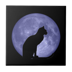 Schwarze Katzen-blauer Mond-Fliese Trivet Fliese