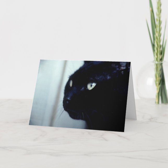 Schwarze Katzen-Gesicht Karte (Vorderseite)