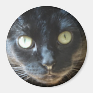 Schwarze Katzen-Gesicht Magnet