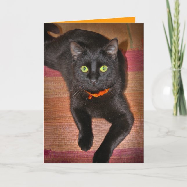 Schwarze Katzen-Halloween-Karte Karte (Vorderseite)