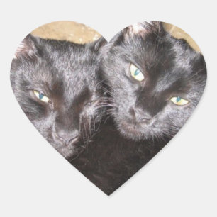 Schwarze Katzen Herz-Aufkleber