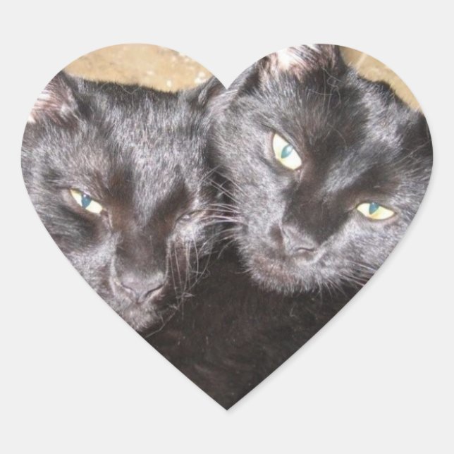 Schwarze Katzen Herz-Aufkleber (Vorderseite)