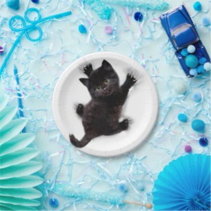 Schwarze Katzen klettern auf menschlichem Rücken Pappteller