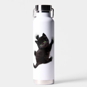 Schwarze Katzen klettern auf menschlichem Rücken Trinkflasche
