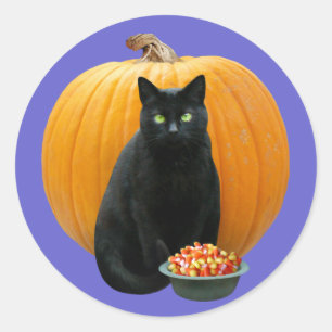 Schwarze Katzen-Kürbis Runder Aufkleber