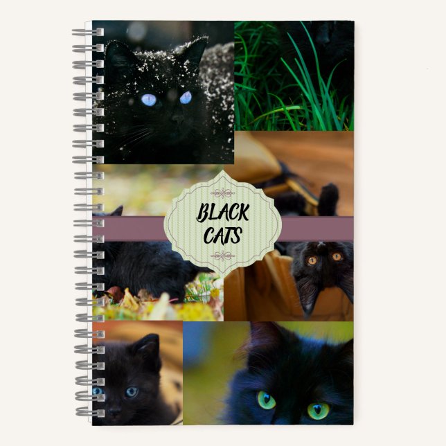 Schwarze Katzen Notizbuch (Vorderseite)
