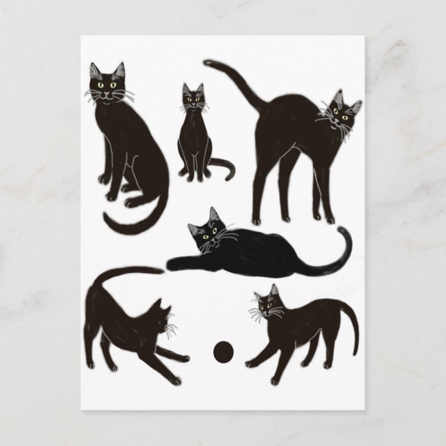 Schwarze Katzen Postkarte (Vorderseite)