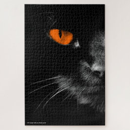 Schwarze Katzen regieren - Orange Augen
