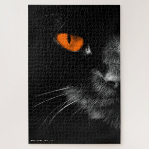 Schwarze Katzen regieren - Orange Augen