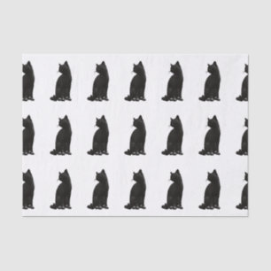 Schwarze Katzen-Seidenpapier Seidenpapier