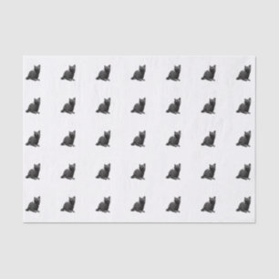 Schwarze Katzen-Seidenpapier Seidenpapier