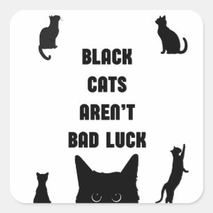 Schwarze Katzen sind kein schlechtes Glück Quadratischer Aufkleber