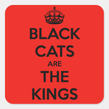 Schwarze Katzen sind König