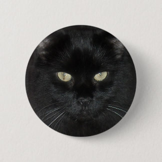 Schwarze Katzen-Starren Button