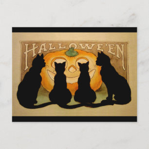 Schwarze Katzen und ein Jack O'Lantern Postkarte
