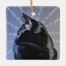 Schwarze Katzen-Verzierung