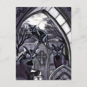 Schwarze Katzen Vollmond Friedhof Postkarte