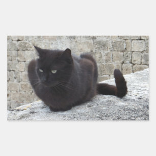 Schwarze Katzenaufkleber Rechteckiger Aufkleber