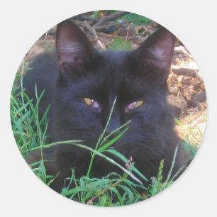 Schwarze Katzenaufkleber Runder Aufkleber