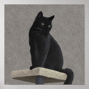 Schwarze Katzenköniglichkeit Poster