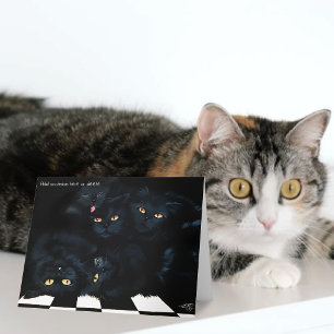Schwarze Katzenkuschelhaufen Fellentiere Süß Karte